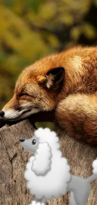 This phone live wallpaper showcases a digital rendering of a sleeping dog on a wooden plank surrounded by furry animals like foxes and deer