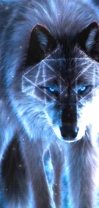 This live wallpaper features an awe-inspiring image of a majestic wolf with piercing blue eyes, set against a stunning background of ritual symbols and runes, a mesmerizing infinity fractal and shards