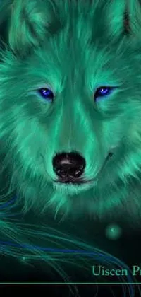 This live wallpaper boasts an image of a magnificent wolf, complete with stunning blue eyes and airbrushed fur