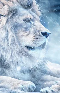 Carnivore Snow Wolf Live Wallpaper