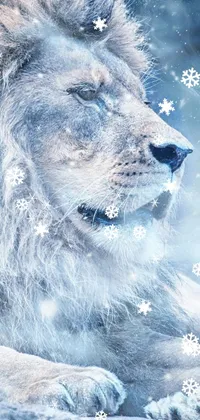 Carnivore Whiskers Wolf Live Wallpaper