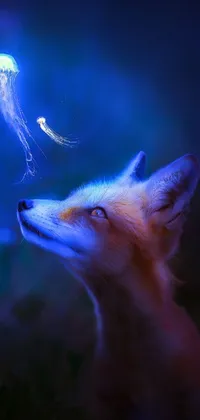 jelly fox Live Wallpaper