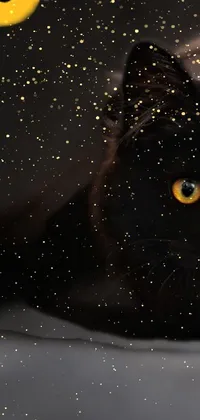 Cat Astronomical Object Felidae Live Wallpaper