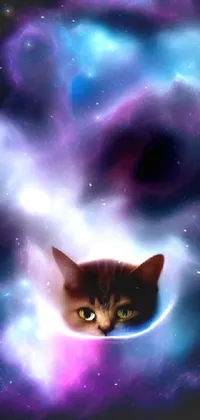 Cat Atmosphere Felidae Live Wallpaper