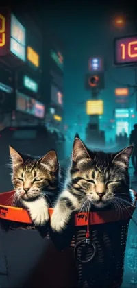 Cat Automotive Lighting Felidae Live Wallpaper