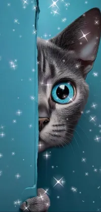 Cat Azure Organism Live Wallpaper