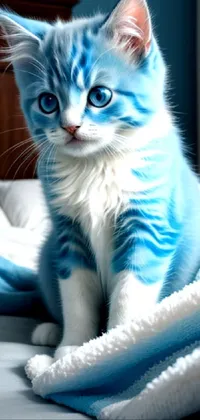 Cat Blue Azure Live Wallpaper