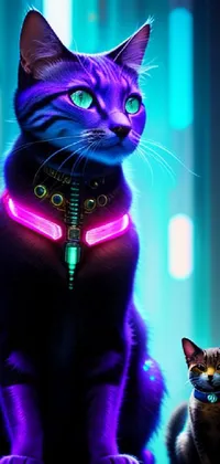 Cat Vertebrate Light Live Wallpaper - free download