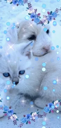 Cat Blue White Live Wallpaper