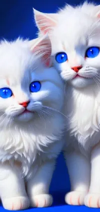 Cat Blue White Live Wallpaper