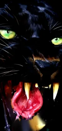 This phone live wallpaper displays a digital rendering of a snarling black cat with intense green eyes and sharp dog-like teeth