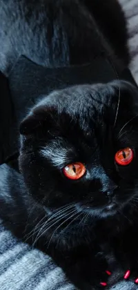 Looking for an eerie and mystical live wallpaper for your phone? Look no further than this photo of a black cat with red eyes lying on a bed! With a background image licensed through Shutterstock, this wallpaper brings stunning realism to your device