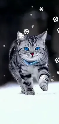 This stunning phone live wallpaper features a gorgeous cat walking across a scenic winter landscape
