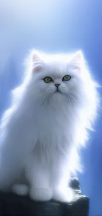 This phone live wallpaper showcases a digital painting of a white Persian cat sitting on a rock