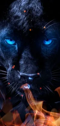 Cat Carnivore Felidae Live Wallpaper