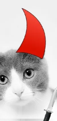 Looking for a cute and charming phone live wallpaper? Look no further than this gray and white cat in a red hat, with a swishing tail and bright green eyes