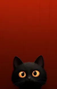 Cat Carnivore Whiskers Live Wallpaper