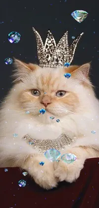 This live wallpaper features a playful cat donning a regal crown with puffy cheeks and a cute expression