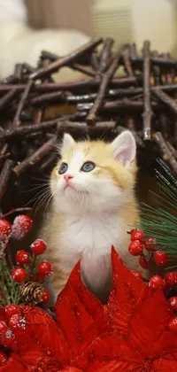 This live phone wallpaper features an adorable small kitten nestled in a festive Christmas wreath comprised of colorful and vibrant Renaissance-style flowers and foliage
