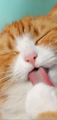 Looking for a cute and relaxing live wallpaper for your phone? Look no further than this close-up image of a ginger cat with its tongue out