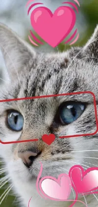 Cat with hearts Live Wallpaper
