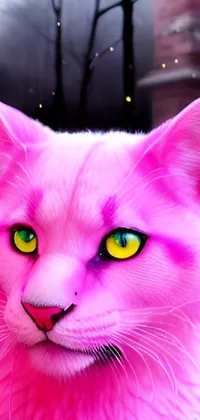 the pink cat Live Wallpaper