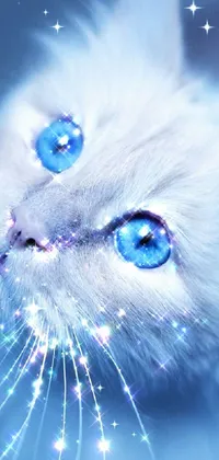 Cat Eye Felidae Live Wallpaper