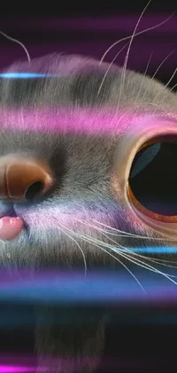 Cat Eye Vertebrate Live Wallpaper