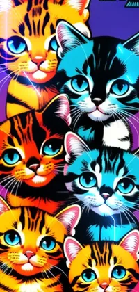 Cat Facial Expression Vertebrate Live Wallpaper