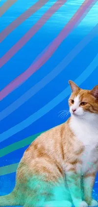 Cat Felidae Azure Live Wallpaper