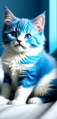 Cat Felidae Blue Live Wallpaper