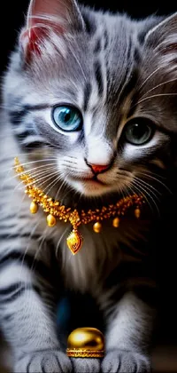 jewels cat Live Wallpaper
