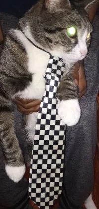 This phone live wallpaper showcases a playful image of a cat wearing a tie, held by an individual dressed in full costume against a checkered floor background