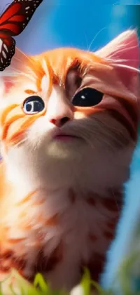 This phone live wallpaper depicts a delightful digital painting of a cuddly cat with a butterfly perched atop its head