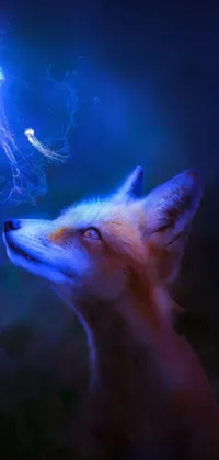 FOX DREAMS 3 Live Wallpaper