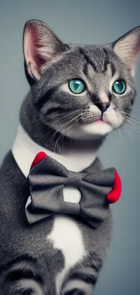 Download this cute live phone wallpaper featuring a stylish gray cat wearing a bow tie and expensive clothes