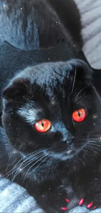 This phone live wallpaper is an outstanding digital art featuring a black cat with red eyes lying on a bed