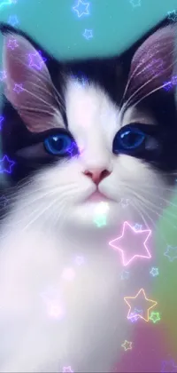 Presenting a stunning 3D live wallpaper for your phone - a black and white cat with piercing blue eyes
