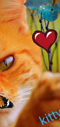 kitty love 💕 Live Wallpaper