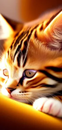 Looking for a stunning phone live wallpaper that showcases the cutest, tiger-striped kitten ever? Look no further than this incredible digital painting, with its dreamy, blurred 3D rendering of a cozy home environment