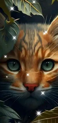 Cat Felidae Carnivore Live Wallpaper