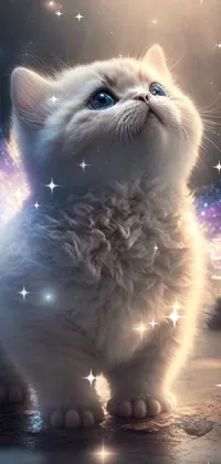 Get enchanted with this stunning phone live wallpaper featuring a cute fur ball with white fur and angel wings sitting on a table