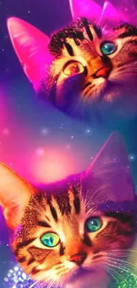This beautiful and charming live wallpaper for mobile phones showcases a delightful illustration of two lovely cats sitting closely together