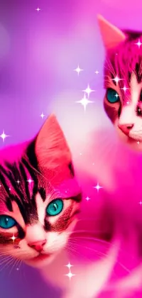 This captivating phone live wallpaper showcases a pair of cute cats sitting close to each other, depicted in an airbrush style