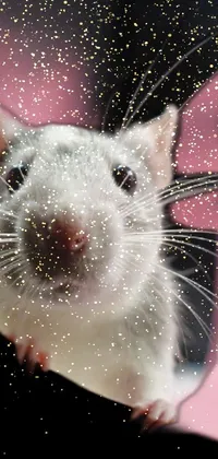 This animated phone wallpaper showcases a close-up of a small mouse on a table