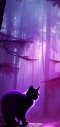 This phone live wallpaper features a breathtakingly immersive scene of a majestic cat perched atop a rock in a mystifying, fog-drenched forest