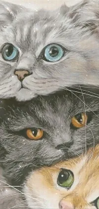 Cat Felidae Vertebrate Live Wallpaper