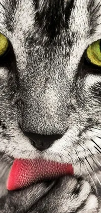 This stunning live wallpaper features a close-up of a cat with its tongue out, showcasing ultra-high-detail digital art with photorealism
