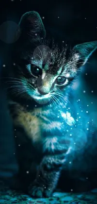 Cat Felidae Water Live Wallpaper