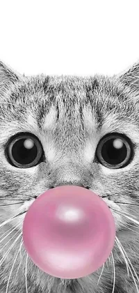 This phone live wallpaper features a black and white digital rendering of a cute kitten blowing a pink bubble